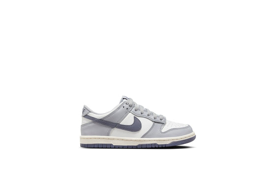 Nike Dunk Low Summit White Light Carbon (Toddler)