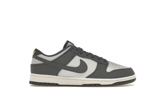 Nike Dunk Low Next Nature Iron Grey Lightning