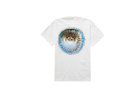 Supreme Blowfish Tee White